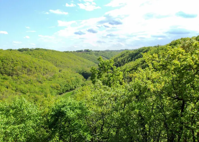 Semesterbostad Cuzac By Interhome Murat